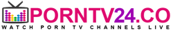 Porntv24.co